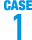 case1